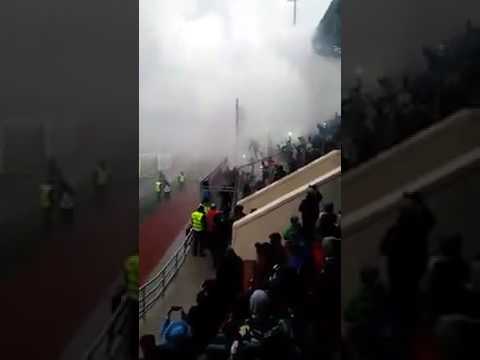 Полиция предотвратила драку фанатов после матча «Тосно» – «Динамо»