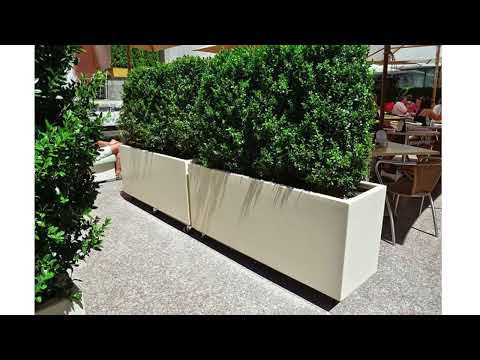 Plant Rectangular Pots