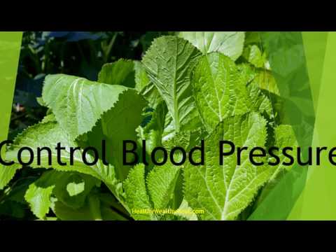 Top 10 Health Benefits of Mustard Greens | healthy Wealthy Tips