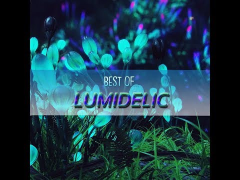 Best of Lumidelic mix by Lumidelic