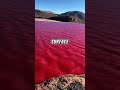 How Is The Red Sea Actually Red