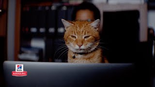 OfficialHillsPet Colin & Tootsie: A Science Diet Story