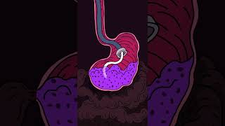 Grimace Shake 🥤🟣 Let me do it for you ! Thanos trying the drink(Animation Meme)