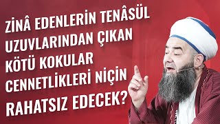 Zinâ Edenlerin Tenâsül Uzuvlarından Çıkan Kötü Kokular Cennetlikleri Niçin Rahatsız Edecek?