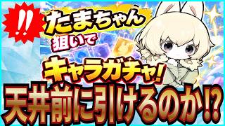 【杖と剣の伝説】実況 フェ〜レンザイコラボのたまちゃん狙いでキャラガチャを引いた結果は...【杖剣】