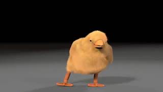 Download lagu Ank ayam menari mp3