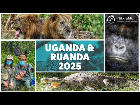 🇺🇬 Uganda & 🇷🇼 Ruanda Doku – Unsere Rundreise durch das wilde Herz Afrikas