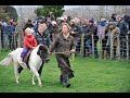 Horse Fair At Matawhero Gisborne