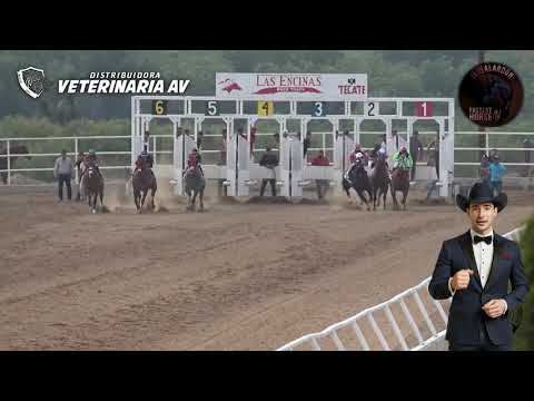 Mr. Manuel Gutiérrez "Caritas"
