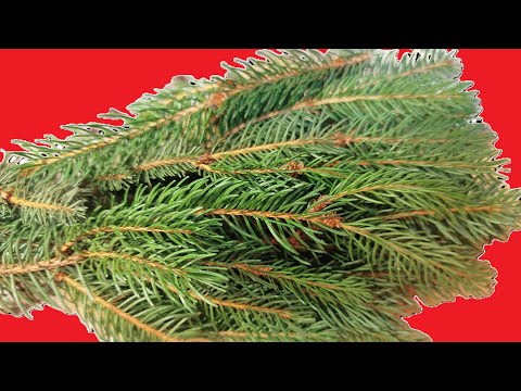 100% natural solution for corns!