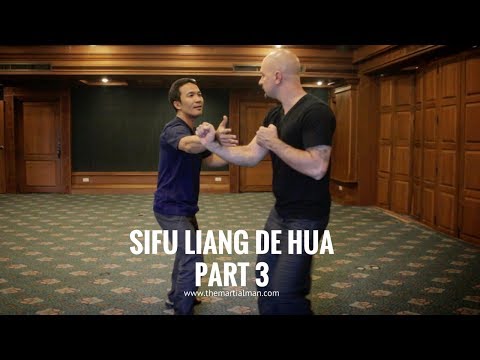 Yang Style Fa Jin 發勁 Is Not A push | Sifu Liang De Hua (Part 3) | Season 2 Episode 07