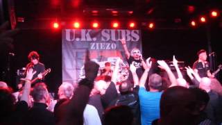 Young Criminals - UK Subs (live)