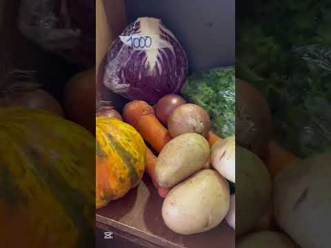 Llegamos a una reunión de artesanos argentinos!!! En Luis Beltrán, Río Negro  #vanlife #roadtrip