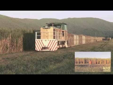 Sugar Cane Trains Australia: Mulgrave Mill (part 2)