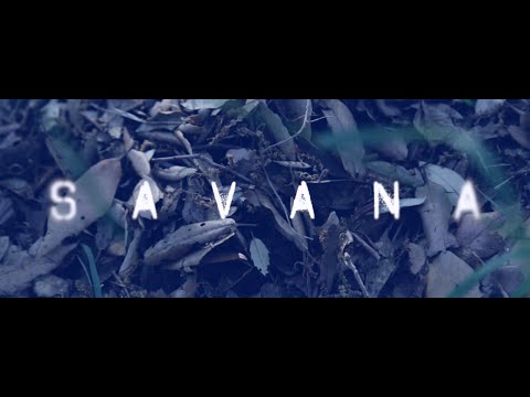 Morfuco & Tonico 70 feat Erbapipa Posse & Krikka Reggae - Savana