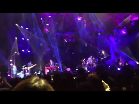 넬 - STAY 라이브 in Christmas Concert : NELL's ROOM