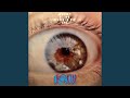 Pupil Of The Eye (2025 Remaster)