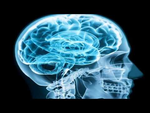 Majken - Wrażliwy umysł