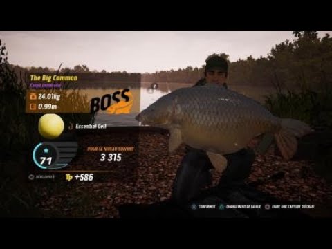 The Catch: Carp & Coarse Boss Carpe The Big Common Oxlease + Top 1