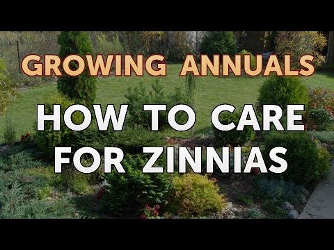 Laws on Growing Poppies