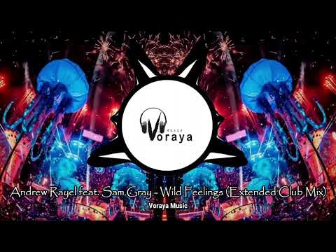 Andrew Rayel feat. Sam Gray - Wild Feelings (Extended Club Mix)