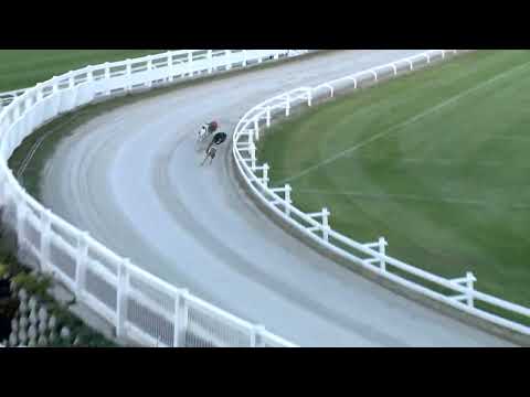 2022.09.11. 11. futam - Európa Derby Sprint Kategória