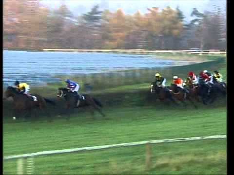 Galopprennbahn Dresden  16.11.2011  -  9.Rennen