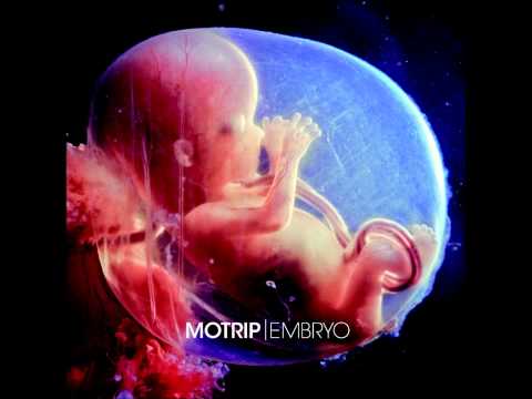 Lonyen feat. MoTrip & Silla - Vergessen wie man lacht