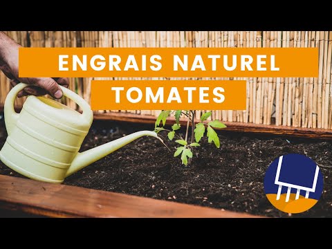 , title : 'Top 3 des engrais naturels pour vos tomates'