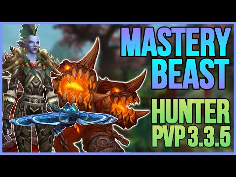 BEAST MASTERY HUNTER 3.3.5 PVP - BEGINNER GUIDE WARMANE WoTLK (Gear,Talents,Duels) 2021