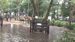 Video af Paint Brush