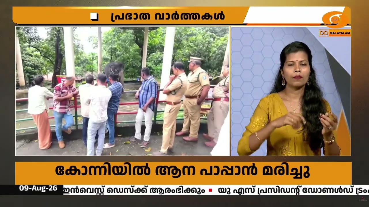 കോന്നി ആനക്കൂട്ടിൽ പിടിയാനയുടെ ആക്രമണം; ആനപ്പാപ്പാ