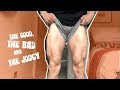 DISGUSTING LEG WORKOUT!