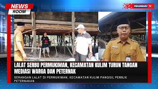 Warga Resah Diserbu Lalat, Pemerintah Turun Cek Peternakan Ayam