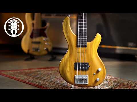 Aria Integra IGB-55 ST Natural MIK - 2000- Ash Body Open Pore - Samick made image 12