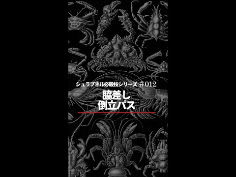 【柔術必殺技 】012 Headdown Pass with Underhook 脇差倒立パス