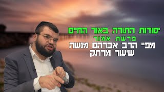 פרשת אמור שיעור מרתק  | הרב אברהם מנשה |  שידור חי (הרב מיכאל לסרי) - התמונה מוצגת ישירות מתוך אתר האינטרנט יוטיוב. זכויות היוצרים בתמונה שייכות ליוצרה. קישור קרדיט למקור התוכן נמצא בתוך דף הסרטון