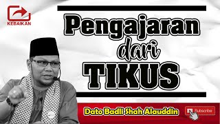 Download lagu MOTIVASI DATO' BADLI SHAH ALAUDDIN (Pengajaran daripada kisah tikus) mp3