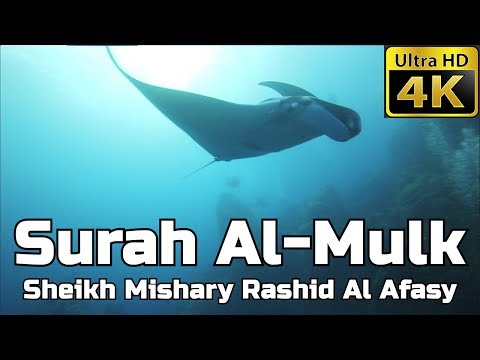 Surah Al Mulk FULL 4K سورة الملك: Sheikh Mishary Al Afasy مشاري العفاسي - English Translation