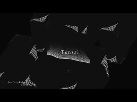 PoleGroup Radio - Tensal 20.05