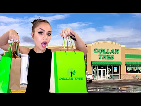 Dollar Tree Shopping SPREE + haul