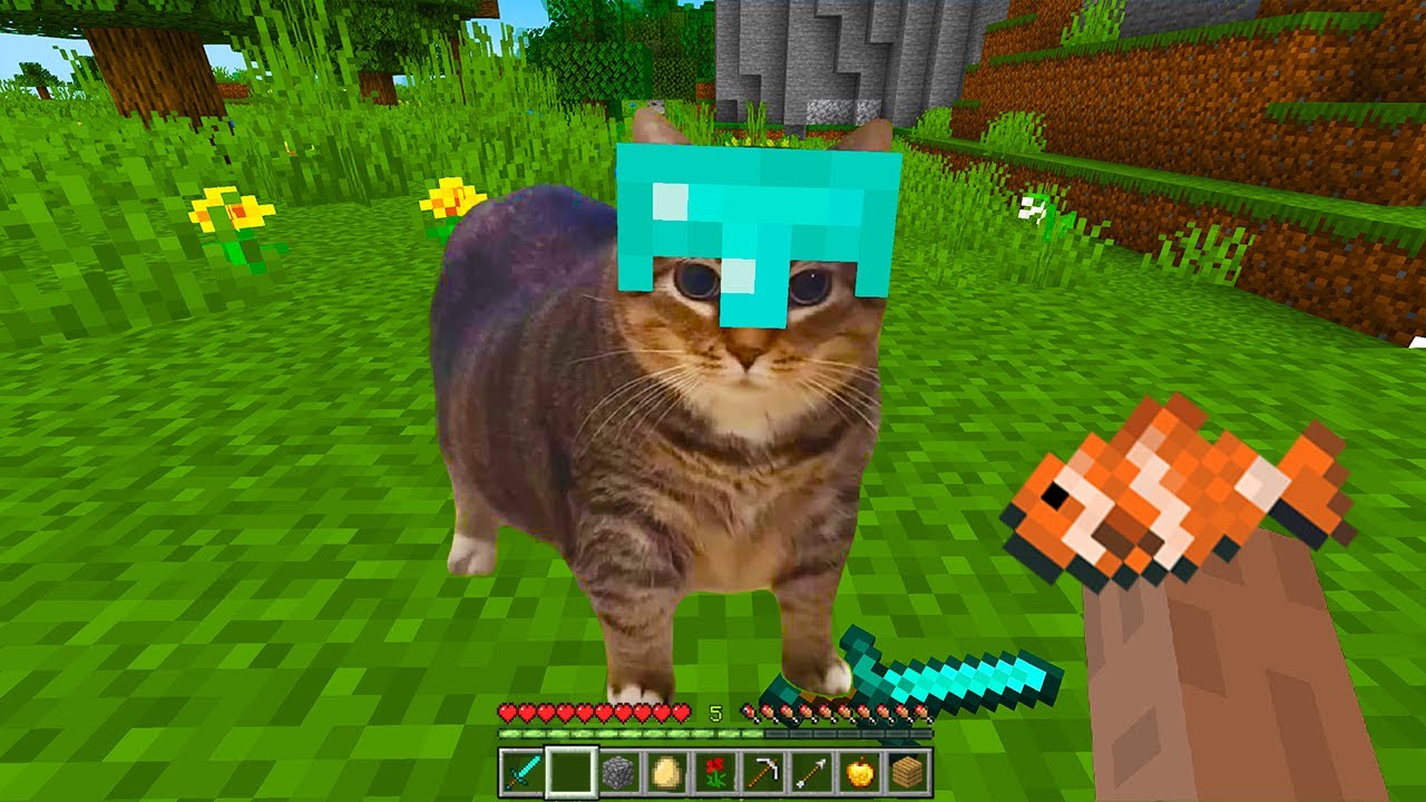 Amazing OIIA Spinning Cat in Minecraft!