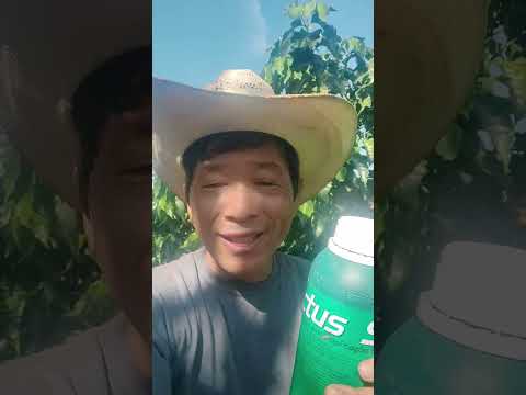 Fertilizante foliar EFFECTUS Topzeira