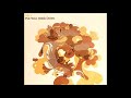 Mr. V – Put Your Drink Down (Copyright Remix)