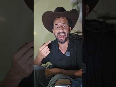 Yemeni Windows Media