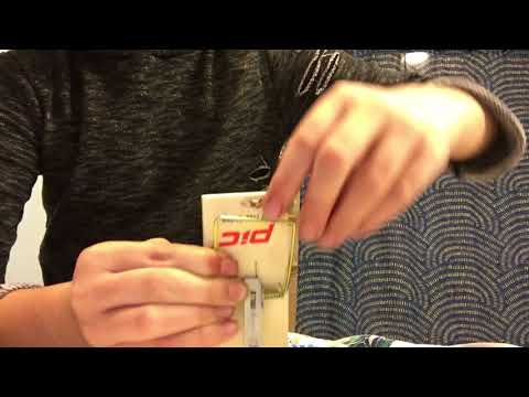 PIC pest free living mouse trap review