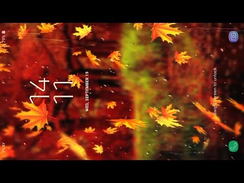 Beautiful Autumn Wallpaper Video