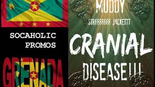 [SPICEMAS 2015] Muddy - Cranial Disease - Grenada Soca 2015