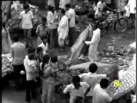 Thumbnail for video: The Indian Woman - An Historical Assessment Thumbnail for video: The Indian Woman - An Historical Assessment