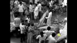 The Indian Woman - An Historical Assessment